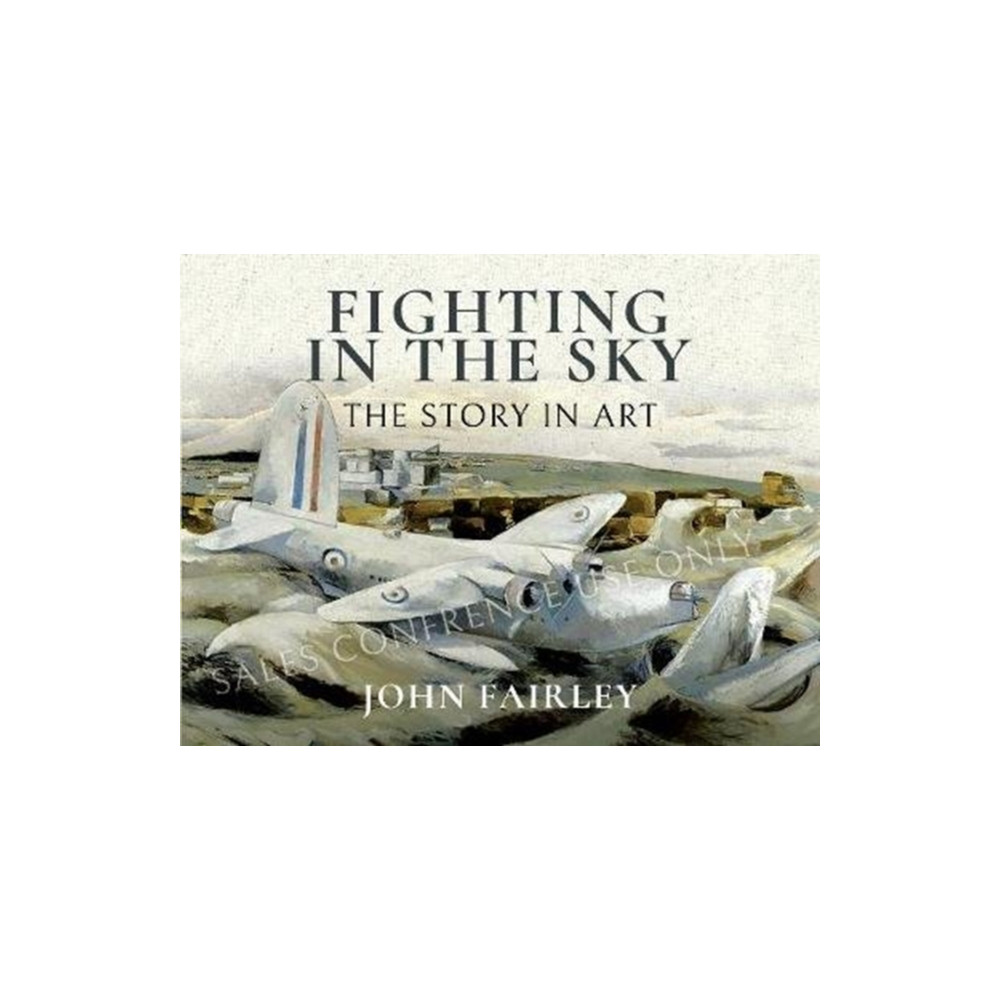Produktbild för Fighting in the Sky (inbunden, eng)