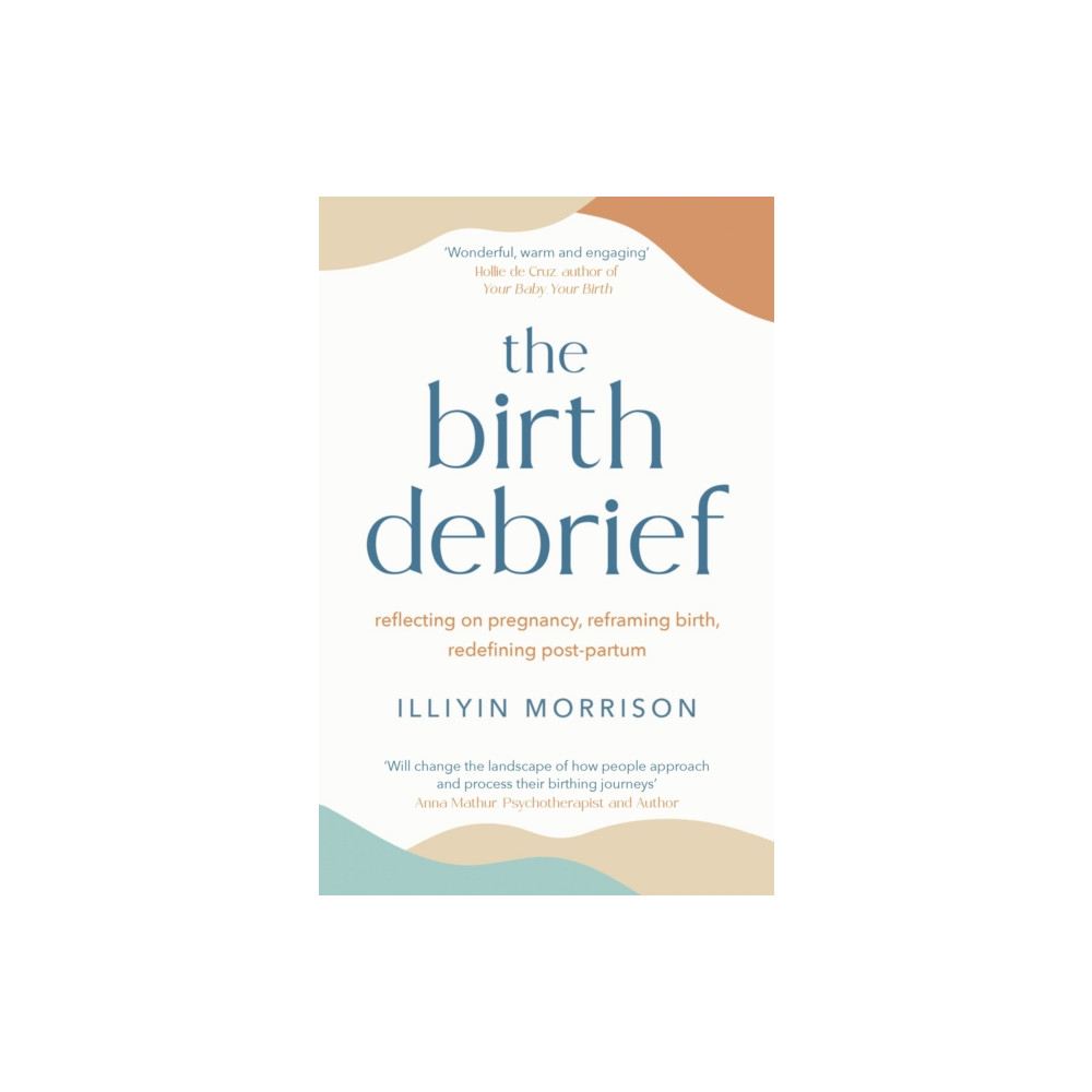 Produktbild för The Birth Debrief (häftad, eng)