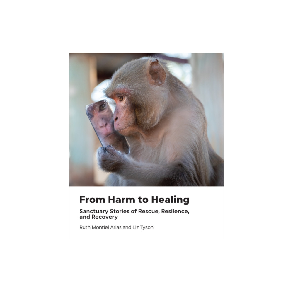 Produktbild för From Harm to Healing (inbunden, eng)
