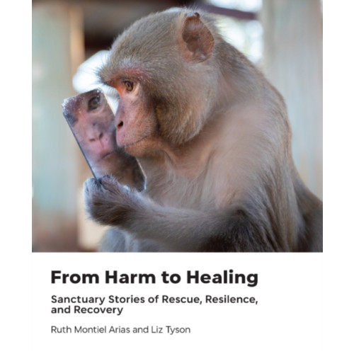 Lantern Books,US From Harm to Healing (inbunden, eng)