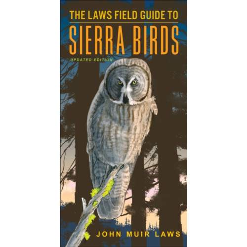 Heyday Books The Laws Field Guide to Sierra Birds (häftad, eng)