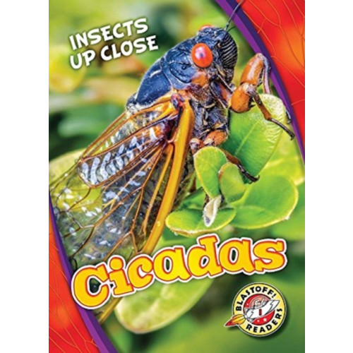 Bellwether Media Cicadas (inbunden, eng)