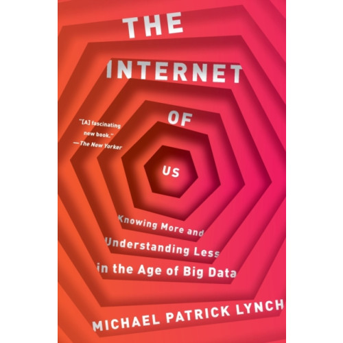 W W Norton & Co Ltd The Internet of Us (häftad, eng)
