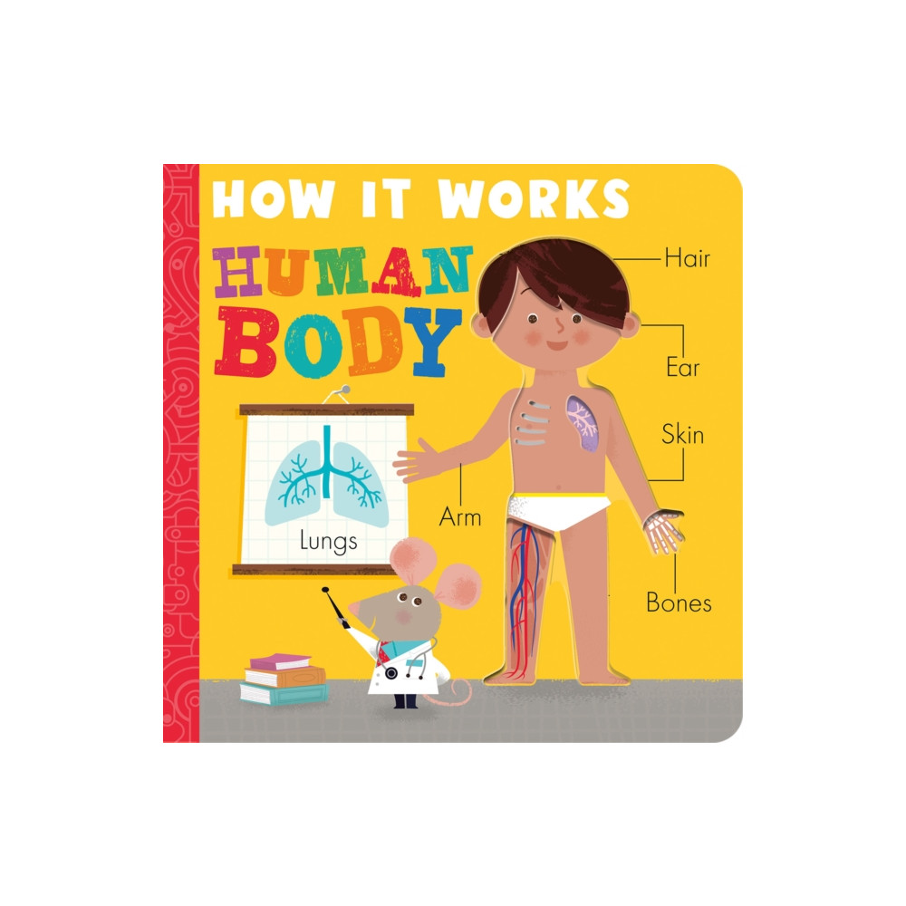 Produktbild för How it Works: Human Body (häftad, eng)