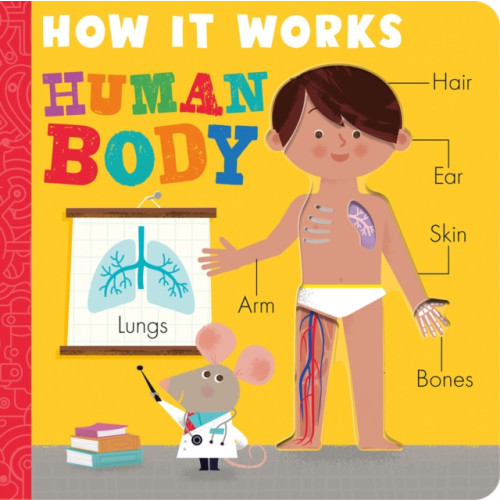 Not Stated How it Works: Human Body (häftad, eng)