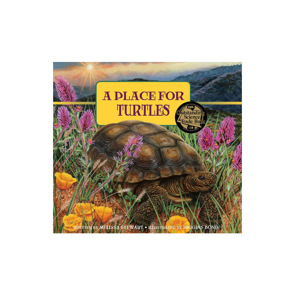 Produktbild för Place for Turtles (häftad, eng)