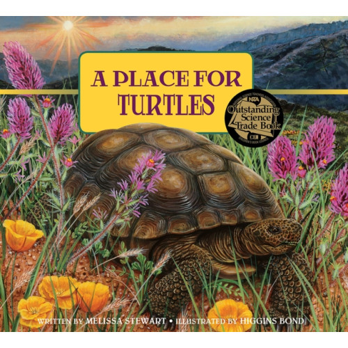 Candlewick Press Place for Turtles (häftad, eng)