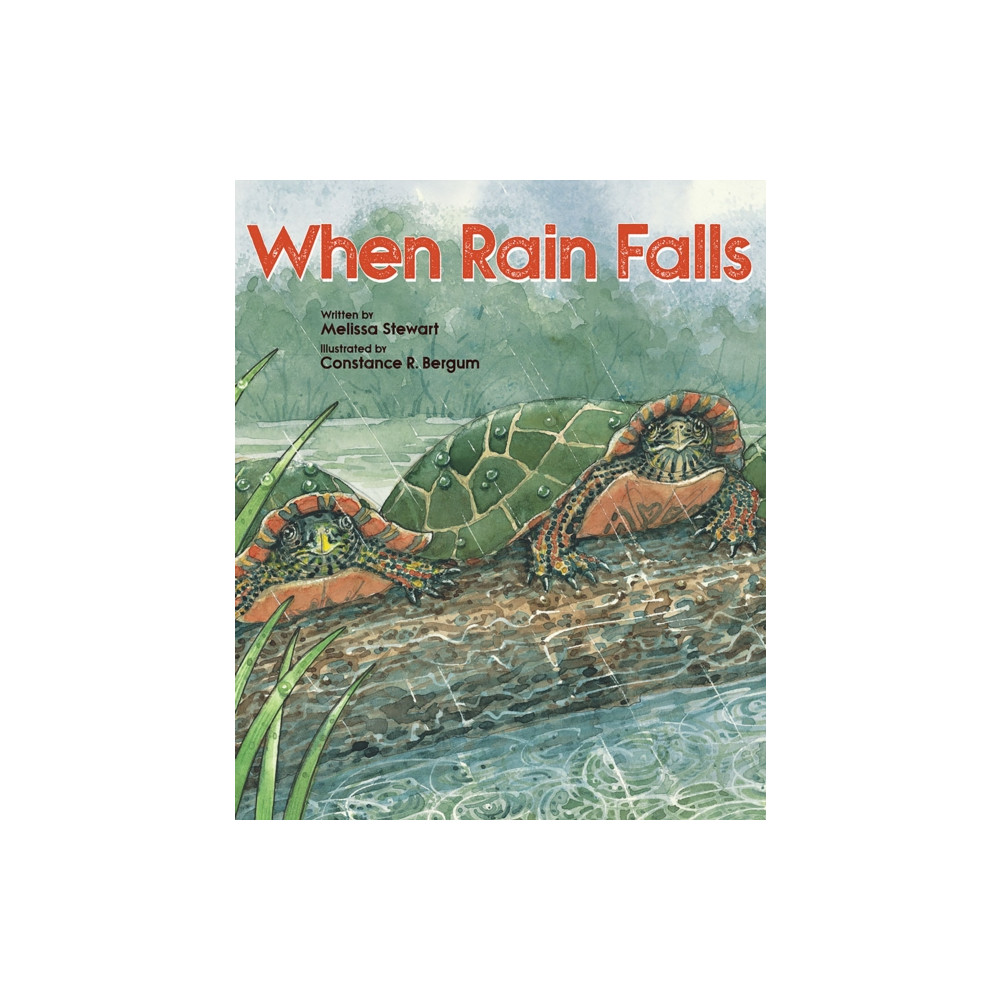 Produktbild för When Rain Falls (häftad, eng)
