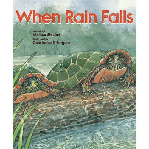 Not Stated When Rain Falls (häftad, eng)