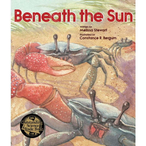 Not Stated Beneath the Sun (häftad, eng)