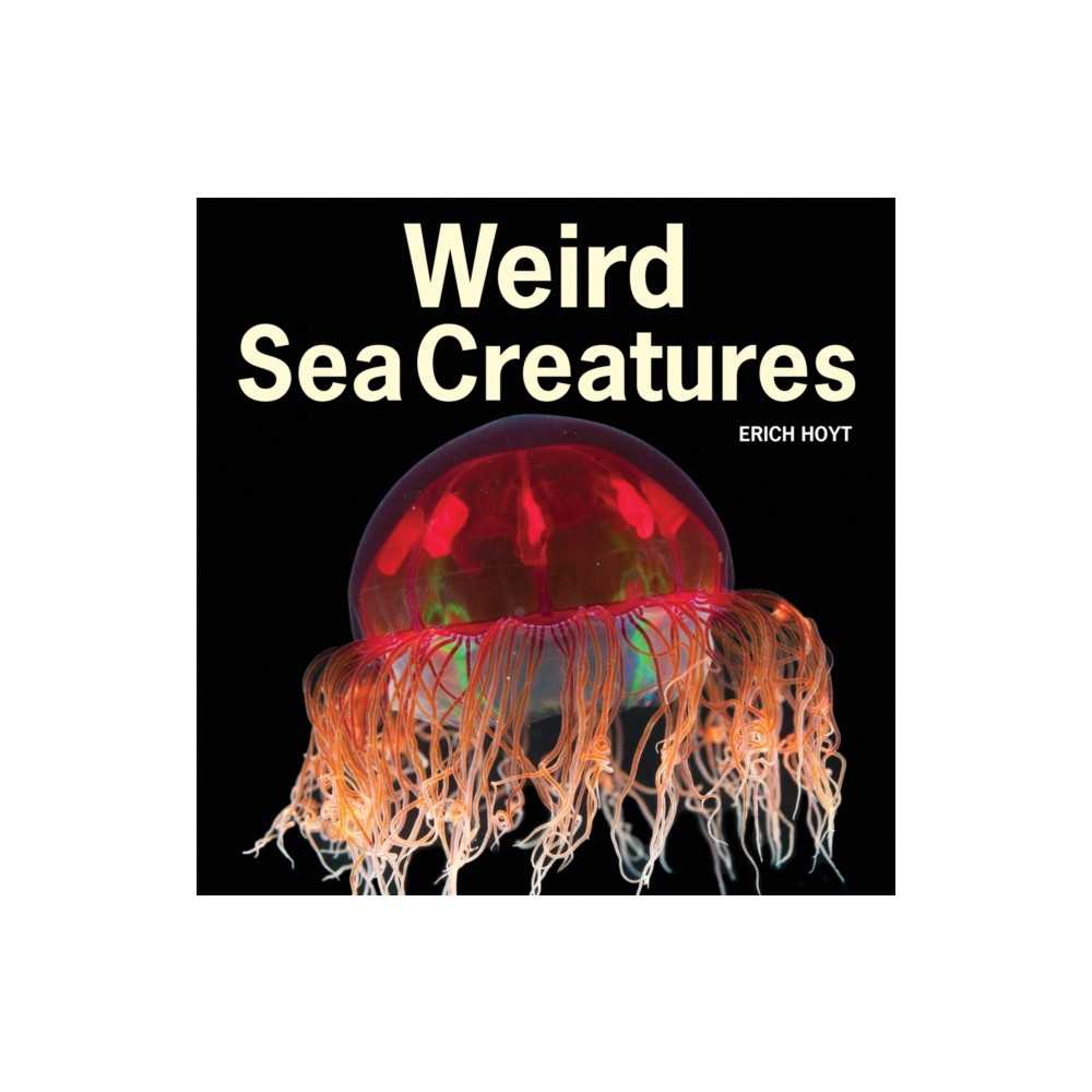 Produktbild för Weird Sea Creatures (häftad, eng)
