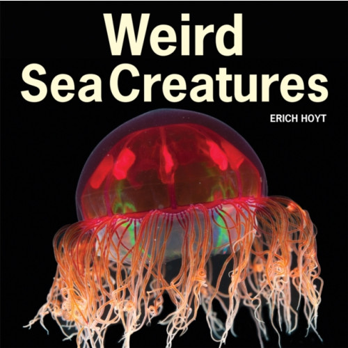 Firefly Books Ltd Weird Sea Creatures (häftad, eng)