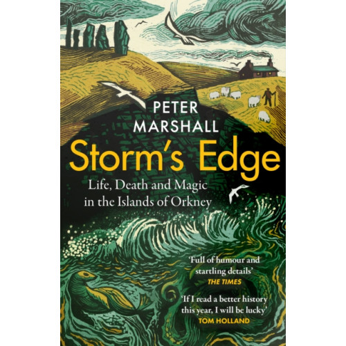HarperCollins Publishers Storm’s Edge (häftad, eng)