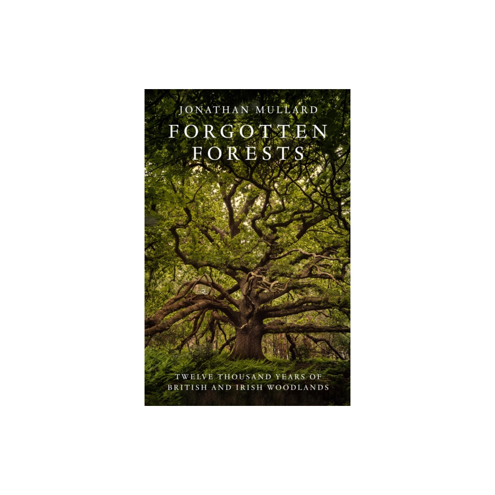 Produktbild för Forgotten Forests (inbunden, eng)