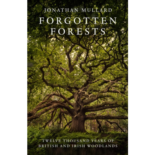HarperCollins Publishers Forgotten Forests (inbunden, eng)