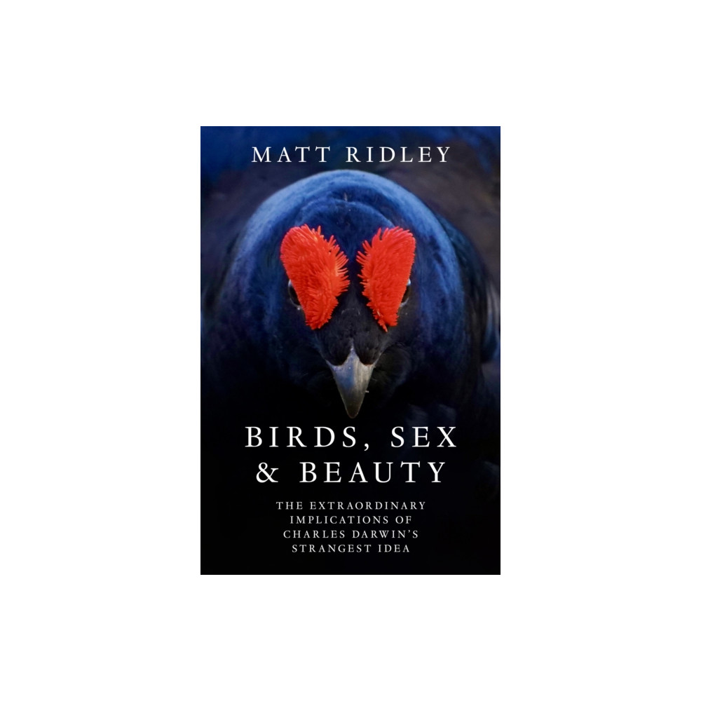 Produktbild för Birds, Sex and Beauty (inbunden, eng)