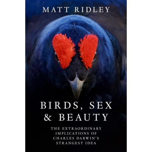 HarperCollins Publishers Birds, Sex and Beauty (inbunden, eng)
