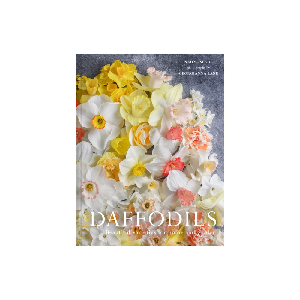 Produktbild för Daffodils (inbunden, eng)