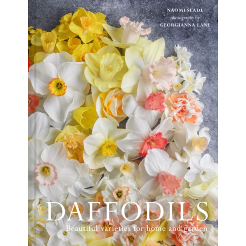 HarperCollins Publishers Daffodils (inbunden, eng)