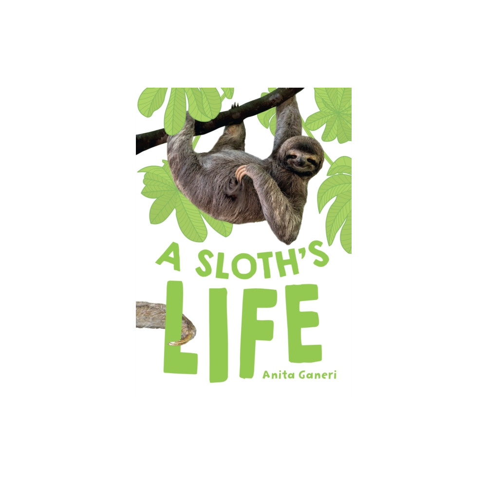 Produktbild för A Sloth's Life (häftad, eng)