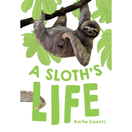 HarperCollins Publishers A Sloth's Life (häftad, eng)