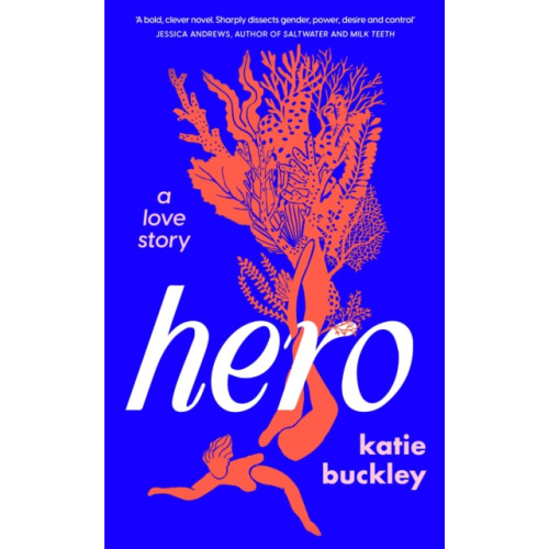 Headline Publishing Group Hero (inbunden, eng)