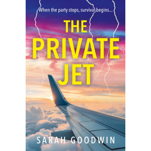 HarperCollins Publishers The Private Jet (häftad, eng)