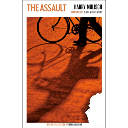 Profile Books Ltd The Assault (häftad, eng)