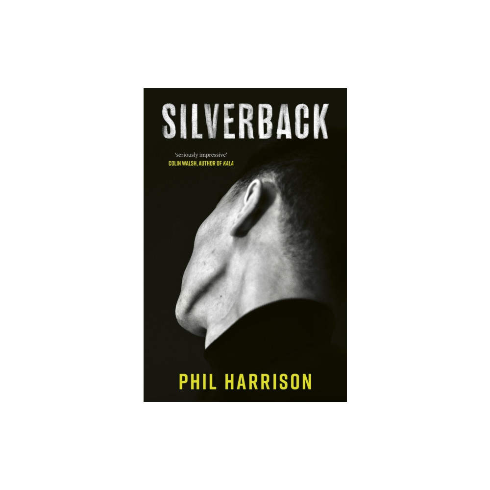 Produktbild för Silverback (häftad, eng)