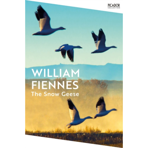 Pan Macmillan The Snow Geese (häftad, eng)