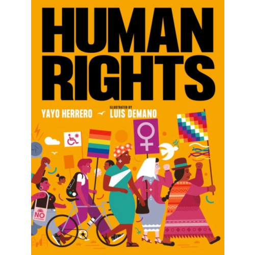 Seven Stories Press,U.S. Human Rights (inbunden, eng)