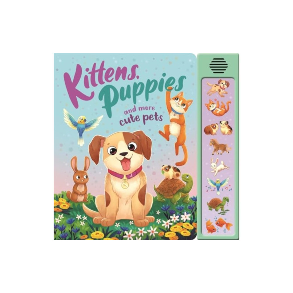 Produktbild för Kittens, Puppies and More Cute Pets (bok, board book, eng)