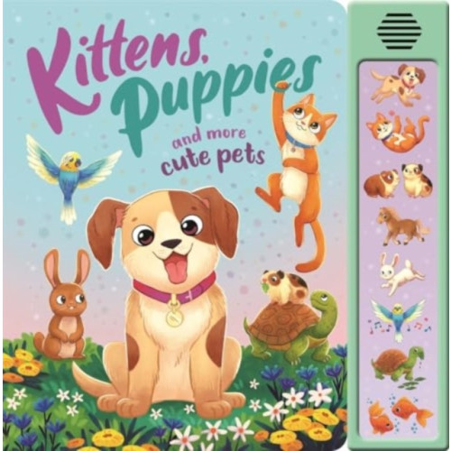 Kittens, Puppies and More Cute Pets , Bonnier Books Ltd (bok, board book, english)