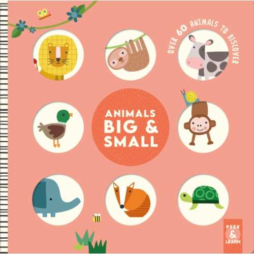 Fox Chapel Publishing Animals Big & Small (bok, board book, eng)