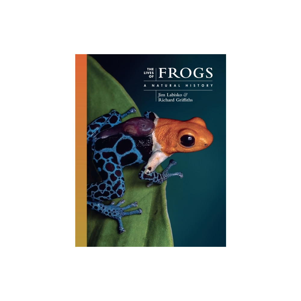 Produktbild för The Lives of Frogs (inbunden, eng)