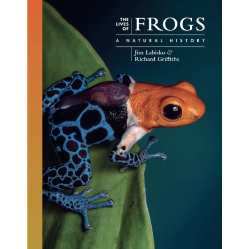 Princeton University Press The Lives of Frogs (inbunden, eng)