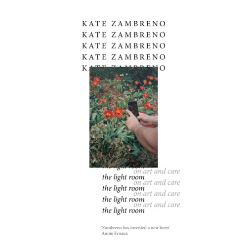 Little, Brown Book Group The Light Room (häftad, eng)