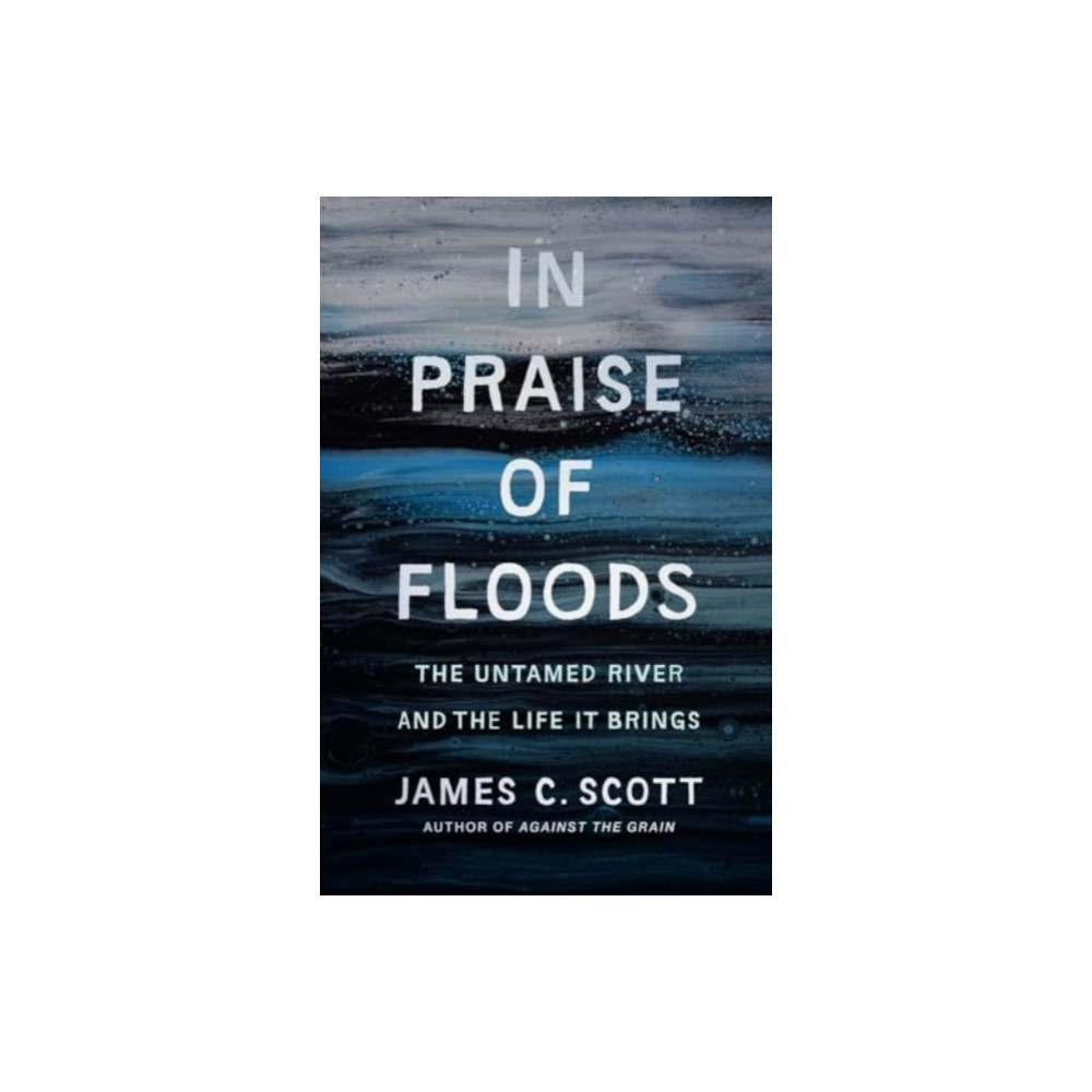 Produktbild för In Praise of Floods (inbunden, eng)