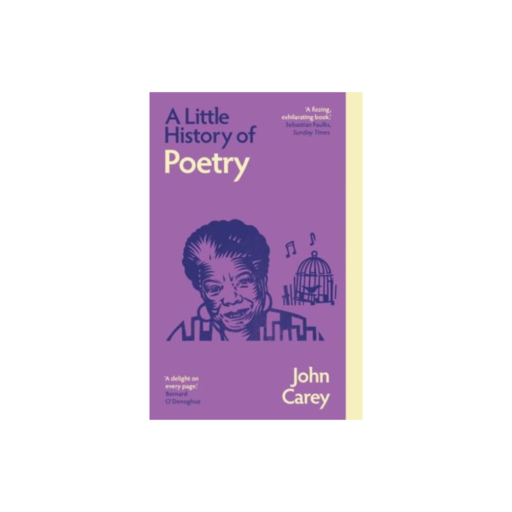 Produktbild för A Little History of Poetry (häftad, eng)