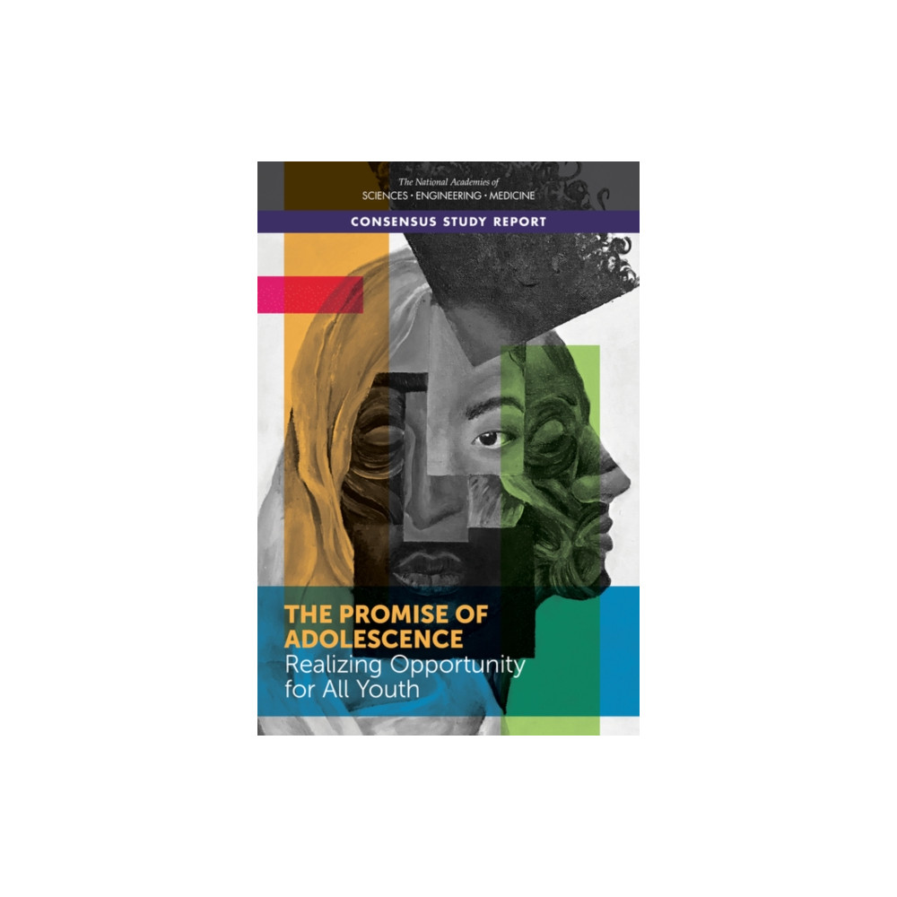 Produktbild för The Promise of Adolescence (häftad, eng)
