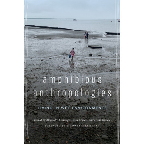 University of Washington Press Amphibious Anthropologies (häftad, eng)