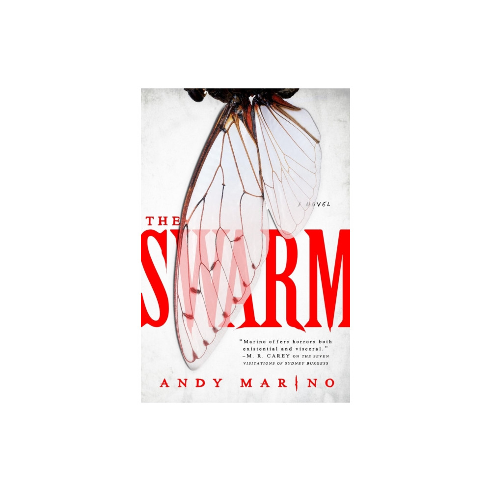 Produktbild för The Swarm (häftad, eng)