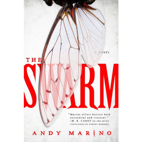 Little, Brown & Company The Swarm (häftad, eng)