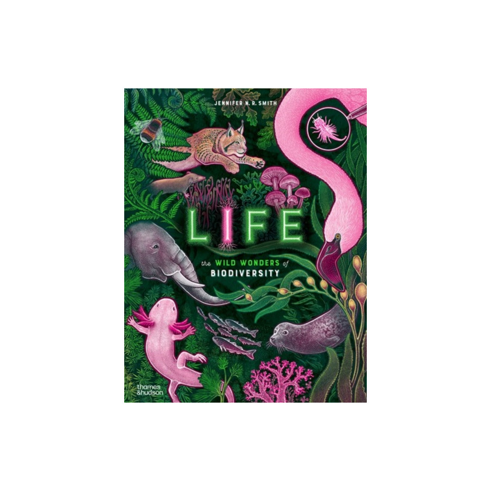 Produktbild för Life (inbunden, eng)