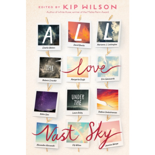 Random House USA Inc All the Love Under the Vast Sky (inbunden, eng)