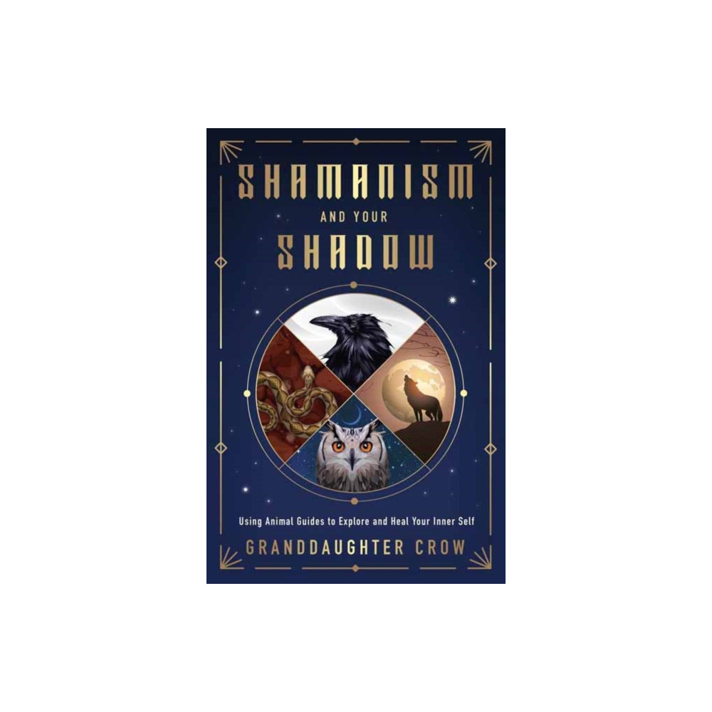 Produktbild för Shamanism and Your Shadow (häftad, eng)