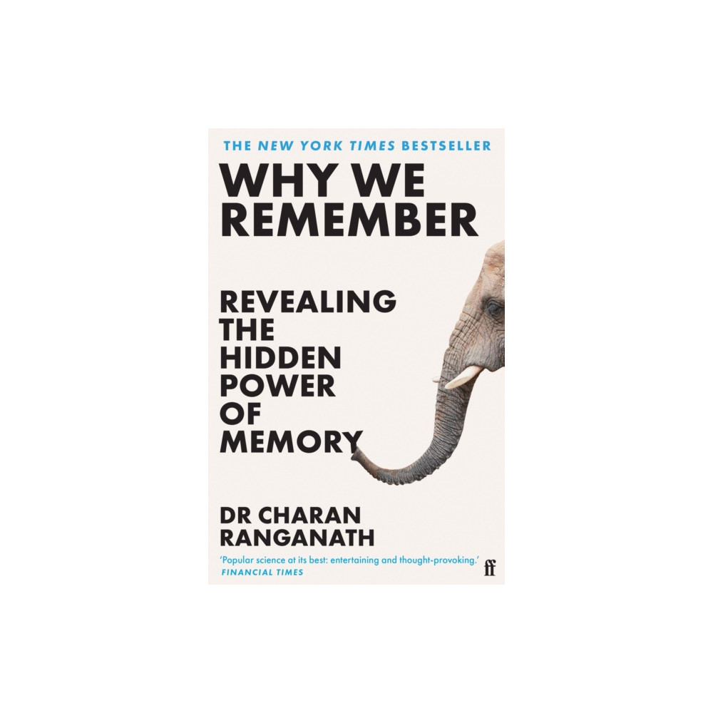 Produktbild för Why We Remember (häftad, eng)