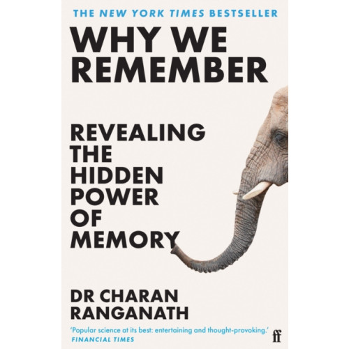 Faber & Faber Why We Remember (häftad, eng)