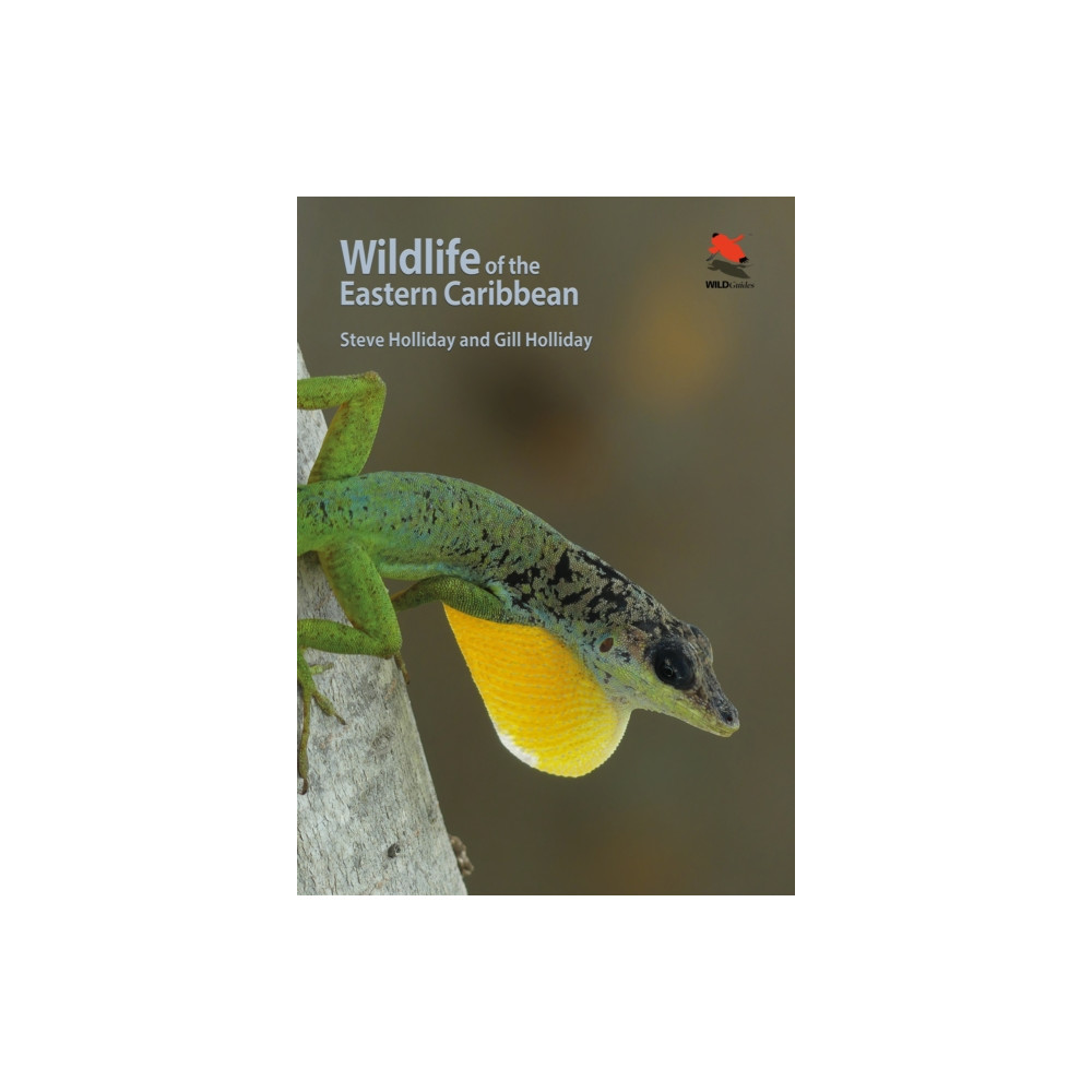 Produktbild för Wildlife of the Eastern Caribbean (häftad, eng)