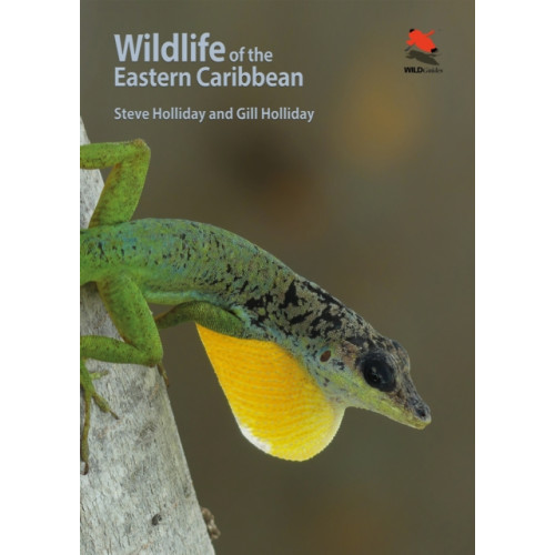 Princeton University Press Wildlife of the Eastern Caribbean (häftad, eng)